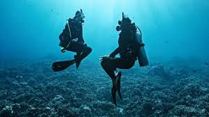 How deep is a deep dive? Padi Linkedin