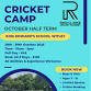 Autumn Half Term October 2025 Cricket Camp event image