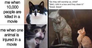 Hope you like our meme compilation and don't forget to subscribe us and share with your friends to make their day better. Memebase Cat Memes All Your Memes In Our Base Funny Memes Cheezburger