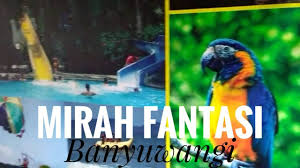 Ya, di mirah fantasia banyuwangi ini banyak sekali wahana yang seru dan juga pastinya disertai dengan fasilitas yang lengkap akan tetapi tidak membuat harga tiket masuk mirah fantasia yang di. Mirah Fantasia Banyuwangi Youtube