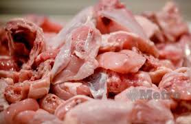 Maybe you would like to learn more about one of these? Sampel Ayam Kilang Di Pedas Negatif Covid 19