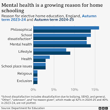 The parents who insist home-education is the answer for their children -  BBC News