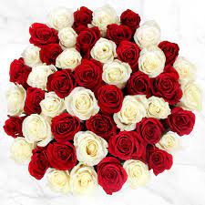 Latest white and red rose flower images gallery is suitable to all devices like laptop backgrounds beautiful red rose images pictures. 50 Stem Red White Roses Costco