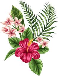 Clipart Flowers Larkspur Clipart Flowers Larkspur Transparent Free For Download On Webstockreview 2021 Check out inspiring examples of larkspur artwork on deviantart, and get inspired by our community of talented artists. webstockreview