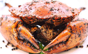 Red house kitchen offering you a delicious breakfast spread with breakfast specials, we also have our delicious protein bowl. Red House Seafood Review By 8 Crabs Singapore