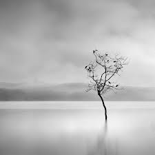 Black And White Landscape Photography Nature Minimalist Photographer Captures Dramatic Depth Of Nature In Black And White Beautiful Photography Nature Black And White Landscape Nature Photography