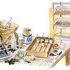 With A Proper Setup And Some Determination You Can Start Your Own Vegetable Seedlings Indoors Seed Starting Starting Seeds Indoors Organic Gardening Tips