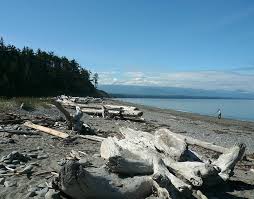 Fun Things To Do In Port Angeles And Sequim On The Olympic Peninsula Port Angeles Olympic Peninsula Washington Outdoor Travel Adventure