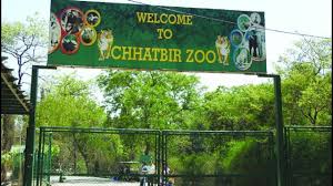 Chhatbir Zoo In Chandigarh 2019 Timings Tickets Best Zoo In Chandigarh Youtube