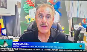 On the TODAY Show and Good Morning America this morning talking about the  "Panda Dogs" in China and the shark attack in the Bahamas. I'm truly  appreciative to the two top network