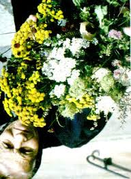Heilpflanzen Im Garten Und Brauchtum Volksbotanische Untersuchungen Im Raum Erlangen Angela Kern Pdf Free Download Die reihenfolge der buchstaben ist nicht relevant.