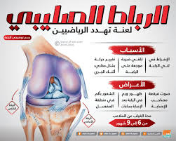 A ligament is the fibrous connective tissue that connects bones to other bones. Ø¥ØµØ§Ø¨Ø§Øª Ø§Ù„ØµÙ„ÙŠØ¨ÙŠ ÙˆØ­Ø´ ÙŠÙ„ØªÙ‡Ù… Ø§Ù„Ù…ÙˆØ§Ù‡Ø¨