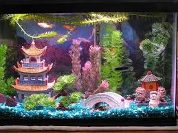 Ihr benötigt zwei papteller blaue farbe kleber sand muscheln und papier für die fische. Aquarium Deko Selber Machen Inspirierende Ideen Und Tipps Selbstgemacht Aquariumeinrichten Feiern Kreativei Aquarium Decorations Aquarium Planted Aquarium