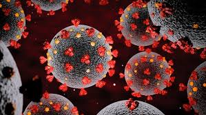 Surge in coronavirus cases may be slowing down, 14.5% of tests positive. Corona Verschworungsmythen Und Fakes Zum Virus So Geht Medien