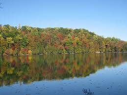 Use the pool noodles as the stick to move the. Best Outdoor Destinations In Syracuse Ny