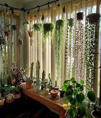 pin by with teeth on decor ideas house plants indoor room bucket hanging baskets