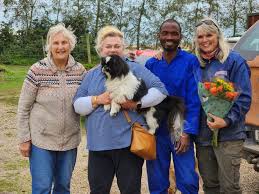 Dog rescued from mountainous area after owner killed in car crash