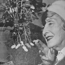 Safeguarding the atom: the nuclear enthusiasm of Muriel Howorth