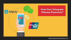 Alipay app foreign credit card. Payments In China How Do They Work Eggplant Digital