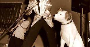 Pin On Elvis 1950s