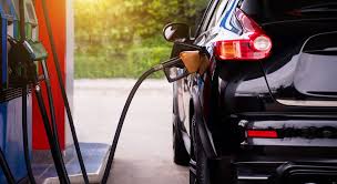 Ema Novak Porn - Full-Length Uncensored Videos