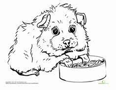 Haustiere wie hunde, katzen, vögel, kaninchen oder hasen sind die besten freunde der kinder. 26 Meerschweinchen Ideen Meerschweinchen Niedliche Meerschweinchen Schwein Handwerk