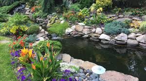 Gardening tips, tricks, and landscaping ideas. Donna S Garden Creations