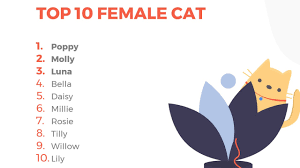 This would be a great option for a timeless classic cat name. Top 10 Male And Female Cat Names Youtube