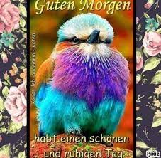 Meine eltern arbeiten und kommen erst abends nach hause. Guten Morgen An Alle 412 Gbpicsbilder Com Guten Morgen Guten Morgen Liebe Guten Morgen Gruss