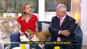 N'hésitez pas à revenir régulièrement pour voir si il y a des. Replay La Quotidienne La Quotidienne Chiens Du France 5