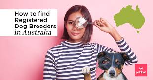 We did not find results for: How To Find Registered Dog Breeders In Australia
