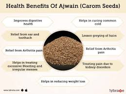 Plant that gives us fennel bulbs. Ajwain Carom Seeds Benefits And Its Side Effects Lybrate