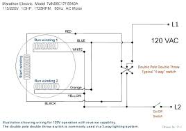 Most single phase motors can be reversed by interchanging #5 lead with #8 lead of the motor. Diagram Wiring Diagram Single Phase Electric Motor 115 Volts Full Version Hd Quality 115 Volts Diagramdolcel Brunisport It