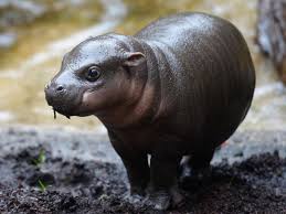 Unsere Bilder Des Tages Bilder Bild Der Tag Stadt Munchen