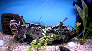 Check spelling or type a new query. Sunken Ship Aquarium Ornament New Daily Offers Insutas Com