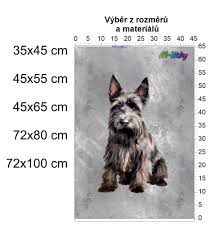 Image result for skotský teriér