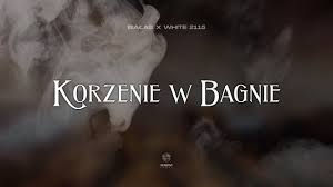 Mata, white 2115] na na na na, lej mi burbona i posyp mi hasz zgubiłem gibona na jednej z. Lyrics Translations Of Korzenie W Bagnie By Bialas White 2115 Popnable