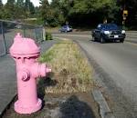 Pink fire hydrant