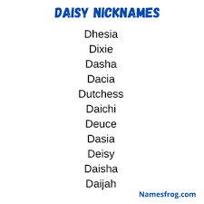 Daisy Nicknames 55 Creative And Funny Names