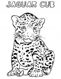 Jaguar Cub Coloring Pages Bulk Color