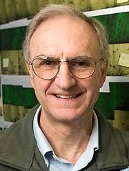 Oldest bit of crust firms up idea of a cool early Earth