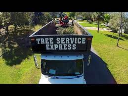 While there are many tree trimming techniques out there, if you want to this yourself you only need to concern yourself with the basics to keep things in order. Tree Service Palm Bay Melbourne Merritt Island Serving Brevard County Florida Tree Trimming Removal Stump Grinding Tree Service Express Inc