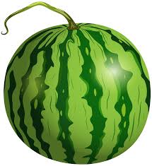 Watermelon Png Clip Art Fruit Picture Fruit Wallpaper Fruits Drawing