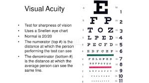 Eye test printable snellen chart. Snellen Eye Chart Manufacturer Shanghai Medical
