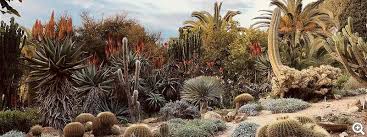Den voucher löst man am flughafen bei der tourist information ein (steht leider nirgends) und die mehrtageskarte für die öffentlichen. Botanischer Garten Blanes
