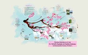 Tropical rainforest longitude and latitude. Thailand Rainforest Of Asia By Michelle Psaltakis