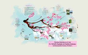 Tropical rainforests of central america are located near the tropic of cancer, at 23.5 n latitude. Thailand Rainforest Of Asia By Michelle Psaltakis