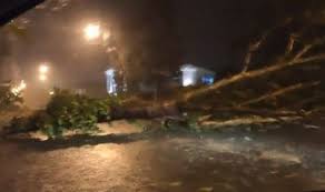 More images for maltempo veneto » Maltempo Veneto Albero Si Schianta Mentre Passa Il Motorino 46enne Muore Sul Colpo