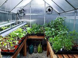 You could plant directly in the. A Beginner S Guide To Using A Hobby Greenhouse Homestead And Chill