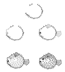 Step By Step Pufferfish Drawing Fish Drawings Ocean Drawing Drawings